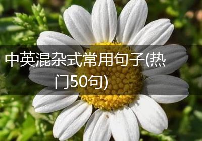 中英混杂式常用句子(热门50句)