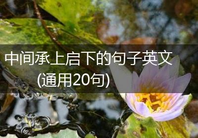 中间承上启下的句子英文(通用20句)