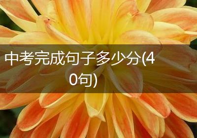 中考完成句子多少分(40句)