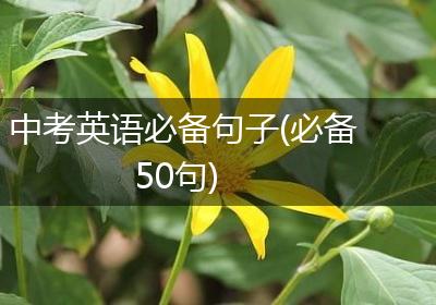 中考英语必备句子(必备50句)