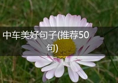 中车美好句子(推荐50句)