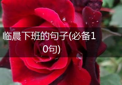 临晨下班的句子(必备10句)