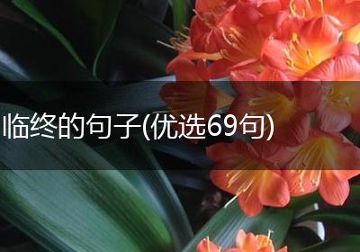 临终的句子(优选69句)