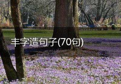 丰字造句子(70句)