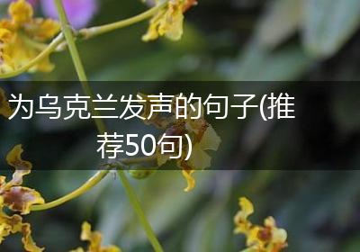 为乌克兰发声的句子(推荐50句)