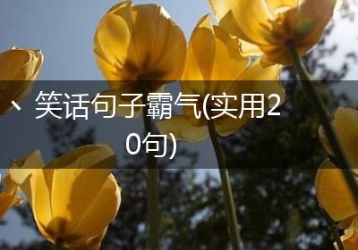 丶笑话句子霸气(实用20句)