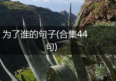 为了谁的句子(合集44句)