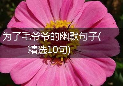 为了毛爷爷的幽默句子(精选10句)