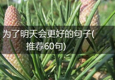为了明天会更好的句子(推荐60句)