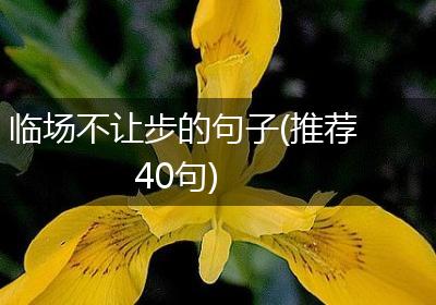 临场不让步的句子(推荐40句)