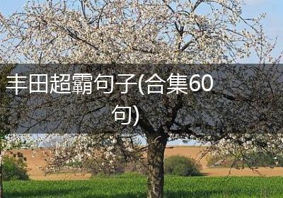 丰田超霸句子(合集60句)