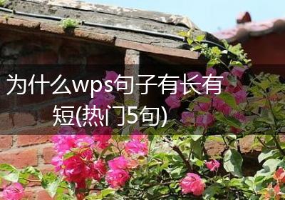 为什么wps句子有长有短(热门5句)