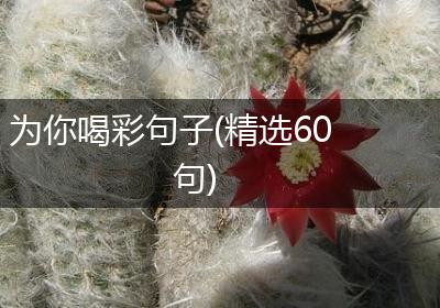 为你喝彩句子(精选60句)