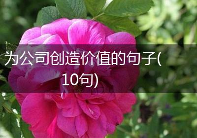 为公司创造价值的句子(10句)
