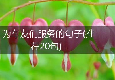为车友们服务的句子(推荐20句)