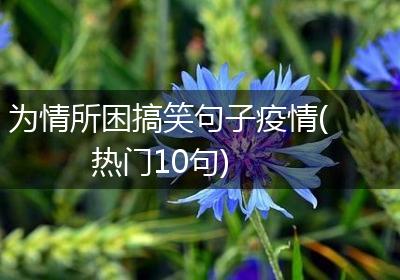 为情所困搞笑句子疫情(热门10句)