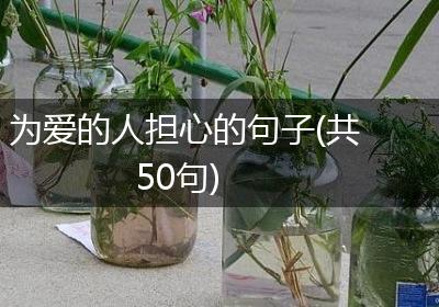 为爱的人担心的句子(共50句)