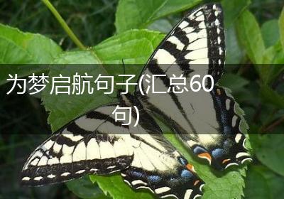 为梦启航句子(汇总60句)