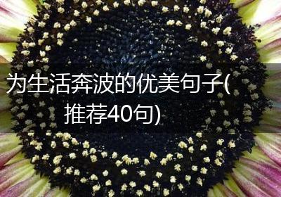 为生活奔波的优美句子(推荐40句)