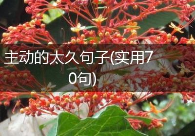 主动的太久句子(实用70句)