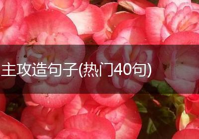 主攻造句子(热门40句)