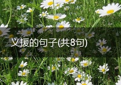 义援的句子(共8句)