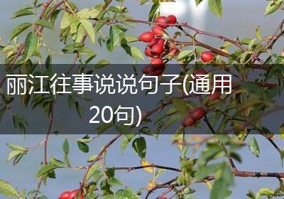 丽江往事说说句子(通用20句)