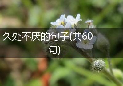 久处不厌的句子(共60句)