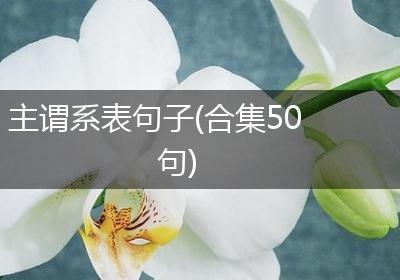 主谓系表句子(合集50句)
