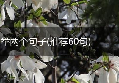 举两个句子(推荐60句)