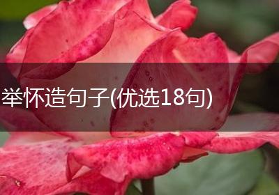 举怀造句子(优选18句)
