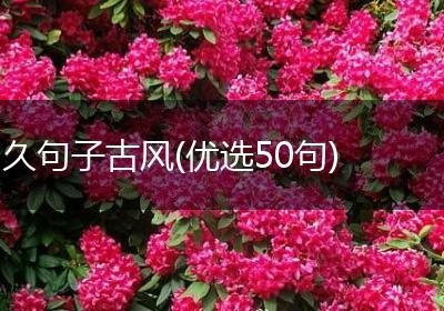 久句子古风(优选50句)