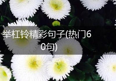 举杠铃精彩句子(热门60句)