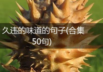 久违的味道的句子(合集50句)