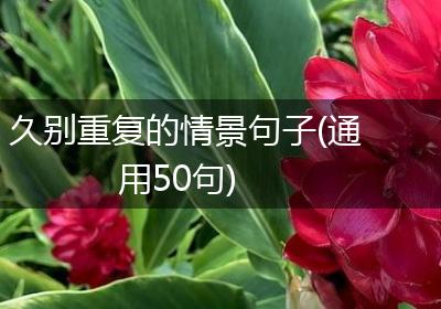 久别重复的情景句子(通用50句)