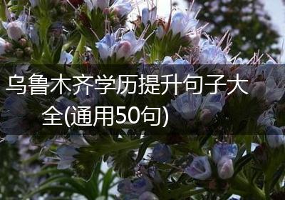乌鲁木齐学历提升句子大全(通用50句)