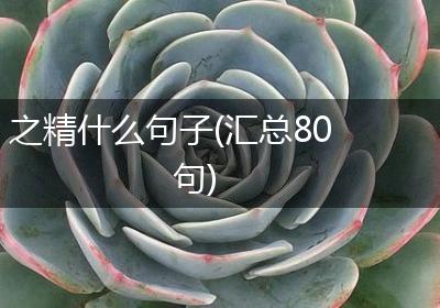 之精什么句子(汇总80句)