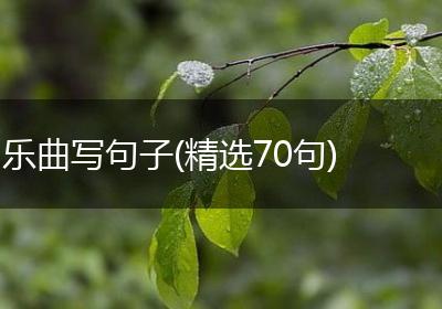 乐曲写句子(精选70句)