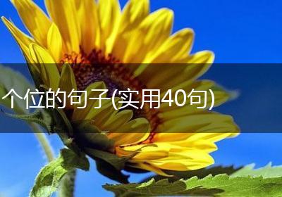 个位的句子(实用40句)