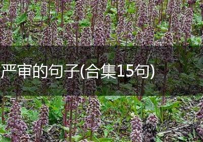 严审的句子(合集15句)