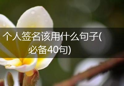 个人签名该用什么句子(必备40句)