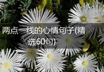 两点一线的心情句子(精选60句)