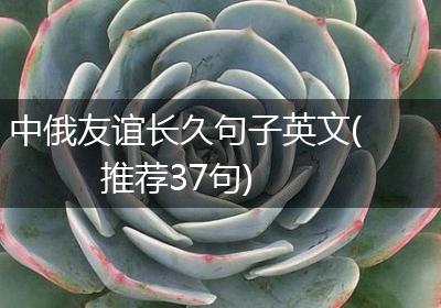 中俄友谊长久句子英文(推荐37句)