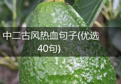 中二古风热血句子(优选40句)