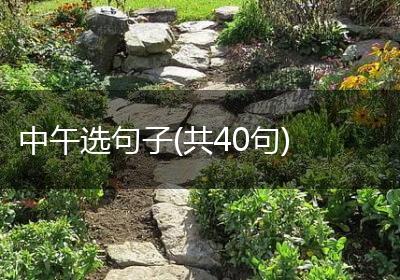 中午选句子(共40句)