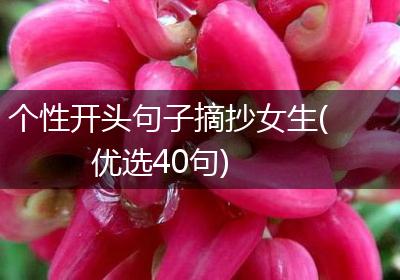 个性开头句子摘抄女生(优选40句)