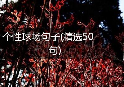 个性球场句子(精选50句)