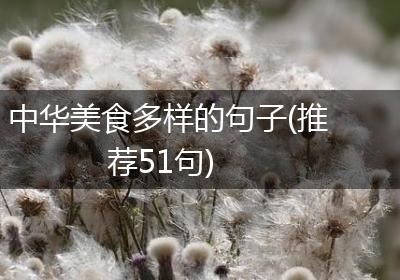 中华美食多样的句子(推荐51句)