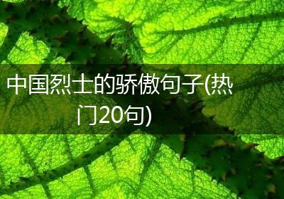 中国烈士的骄傲句子(热门20句)
