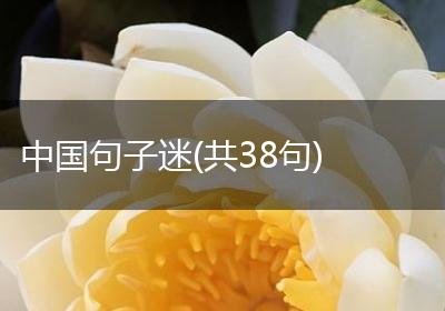 中国句子迷(共38句)